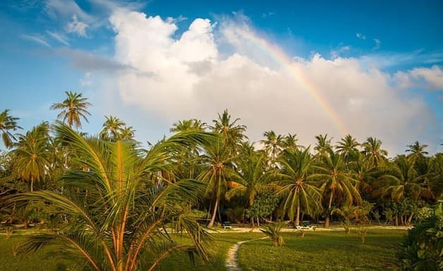 Reise Sri Lanka und Malediven: Profi-Tipps, Einreise & mehr